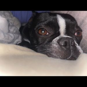 Meet your Posher, Shianne